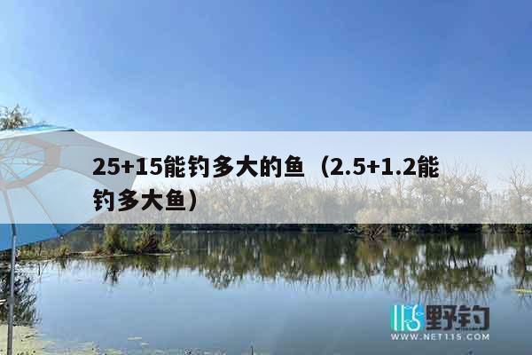 25+15能钓多大的鱼（2.5+1.2能钓多大鱼）