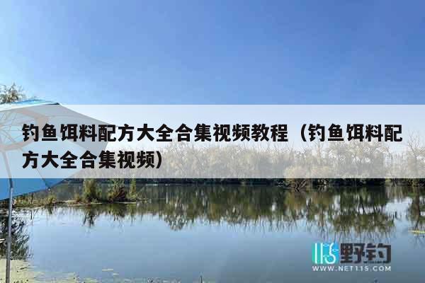 钓鱼饵料配方大全合集视频教程（钓鱼饵料配方大全合集视频）