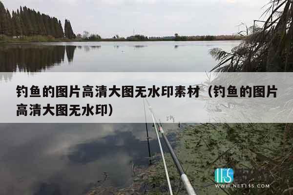 钓鱼的图片高清大图无水印素材（钓鱼的图片高清大图无水印）