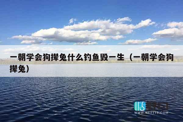 一朝学会狗撵兔什么钓鱼毁一生（一朝学会狗撵兔）
