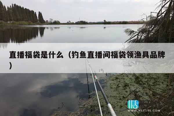 直播福袋是什么（钓鱼直播间福袋领渔具品牌）