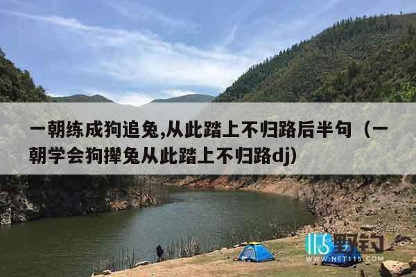 一朝练成狗追兔,从此踏上不归路后半句（一朝学会狗撵兔从此踏上不归路dj）