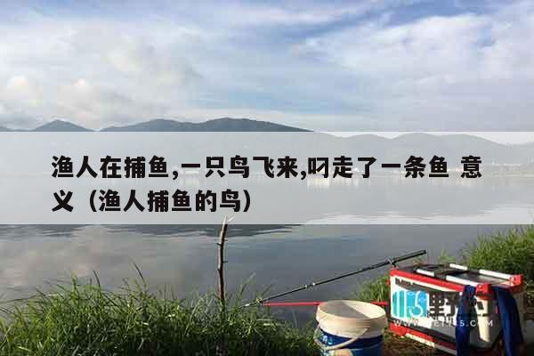 渔人在捕鱼,一只鸟飞来,叼走了一条鱼 意义（渔人捕鱼的鸟）