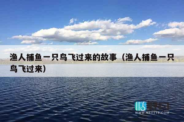渔人捕鱼一只鸟飞过来的故事（渔人捕鱼一只鸟飞过来）