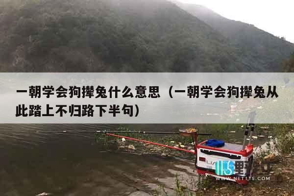 一朝学会狗撵兔什么意思（一朝学会狗撵兔从此踏上不归路下半句）