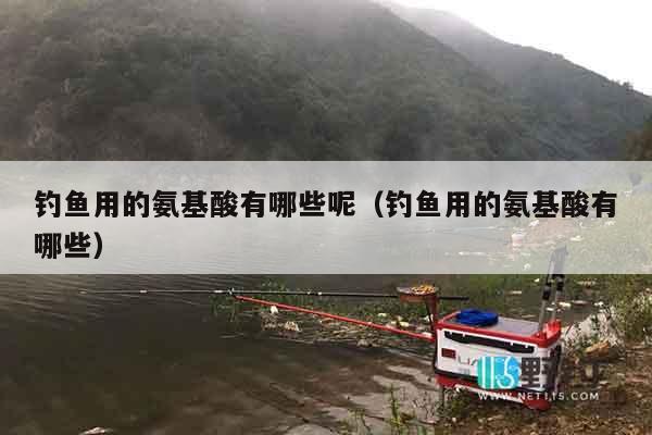 钓鱼用的氨基酸有哪些呢（钓鱼用的氨基酸有哪些）