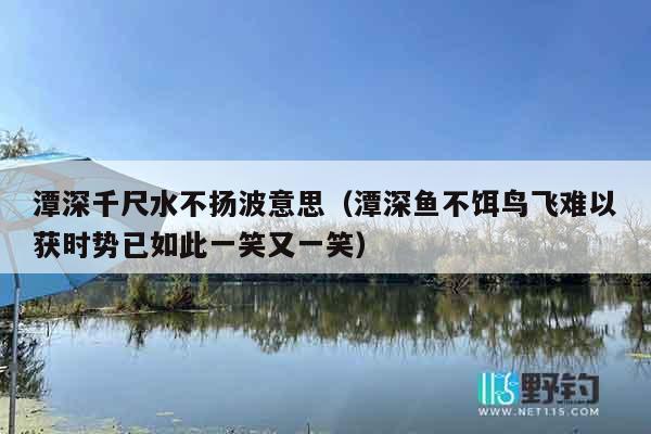 潭深千尺水不扬波意思（潭深鱼不饵鸟飞难以获时势已如此一笑又一笑）