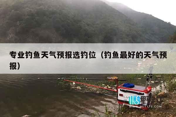 专业钓鱼天气预报选钓位（钓鱼最好的天气预报）