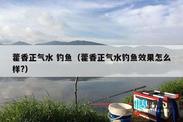 藿香正气水 钓鱼（藿香正气水钓鱼效果怎么样?）
