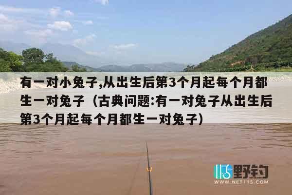 有一对小兔子,从出生后第3个月起每个月都生一对兔子（古典问题:有一对兔子从出生后第3个月起每个月都生一对兔子）