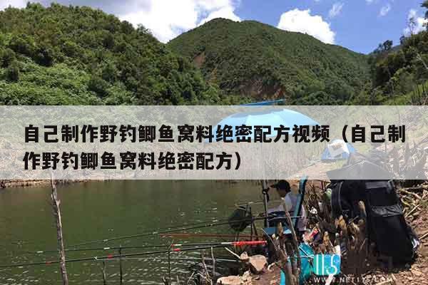 自己制作野钓鲫鱼窝料绝密配方视频（自己制作野钓鲫鱼窝料绝密配方）