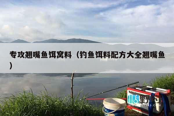 专攻翘嘴鱼饵窝料（钓鱼饵料配方大全翘嘴鱼）