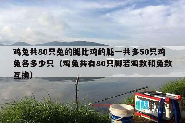 鸡兔共80只兔的腿比鸡的腿一共多50只鸡兔各多少只（鸡兔共有80只脚若鸡数和兔数互换）