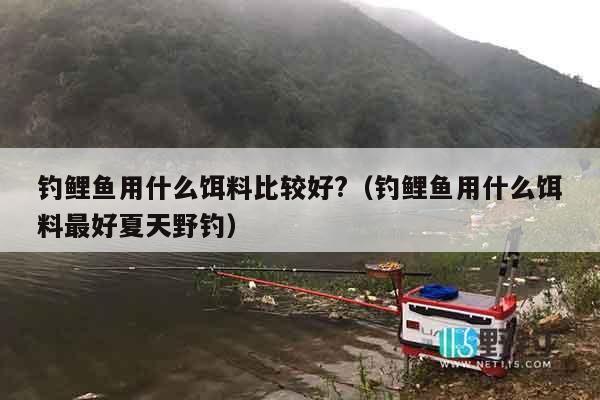 钓鲤鱼用什么饵料比较好?（钓鲤鱼用什么饵料最好夏天野钓）