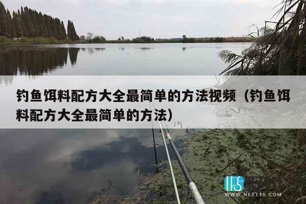 钓鱼饵料配方大全最简单的方法视频（钓鱼饵料配方大全最简单的方法）