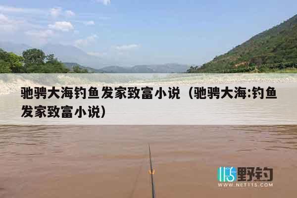 驰骋大海钓鱼发家致富小说（驰骋大海:钓鱼发家致富小说）
