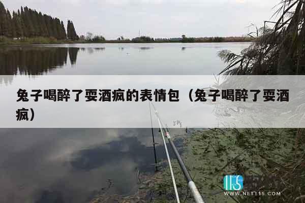 兔子喝醉了耍酒疯的表情包（兔子喝醉了耍酒疯）