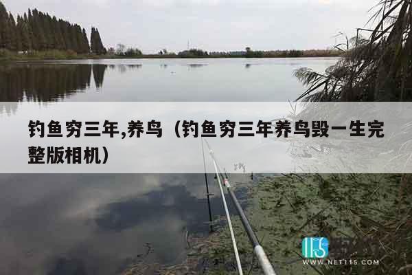 钓鱼穷三年,养鸟（钓鱼穷三年养鸟毁一生完整版相机）