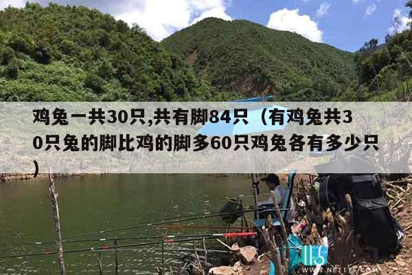 鸡兔一共30只,共有脚84只（有鸡兔共30只兔的脚比鸡的脚多60只鸡兔各有多少只）