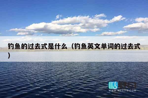 钓鱼的过去式是什么（钓鱼英文单词的过去式）