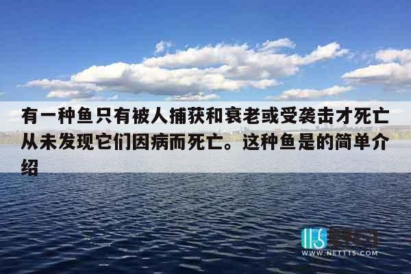 有一种鱼只有被人捕获和衰老或受袭击才死亡从未发现它们因病而死亡。这种鱼是的简单介绍