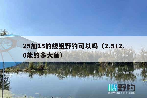 25加15的线组野钓可以吗（2.5+2.0能钓多大鱼）