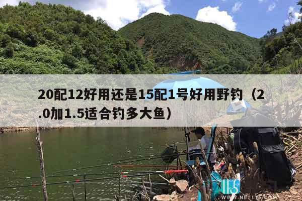 20配12好用还是15配1号好用野钓（2.0加1.5适合钓多大鱼）