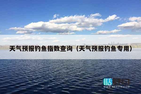 天气预报钓鱼指数查询（天气预报钓鱼专用）