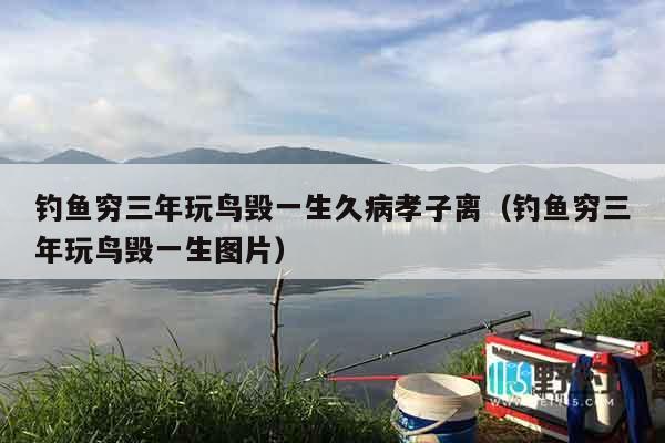 钓鱼穷三年玩鸟毁一生久病孝子离（钓鱼穷三年玩鸟毁一生图片）
