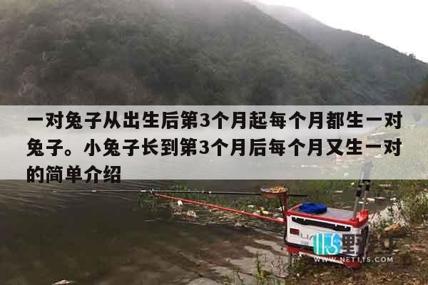 一对兔子从出生后第3个月起每个月都生一对兔子。小兔子长到第3个月后每个月又生一对的简单介绍