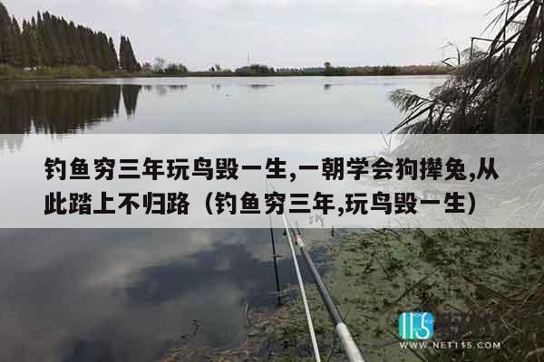 钓鱼穷三年玩鸟毁一生,一朝学会狗撵兔,从此踏上不归路（钓鱼穷三年,玩鸟毁一生）
