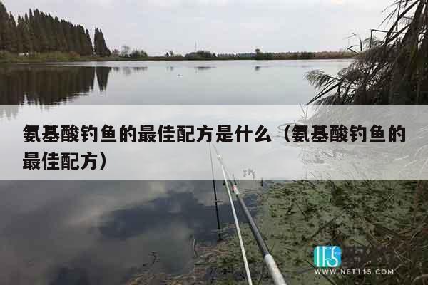 氨基酸钓鱼的最佳配方是什么（氨基酸钓鱼的最佳配方）
