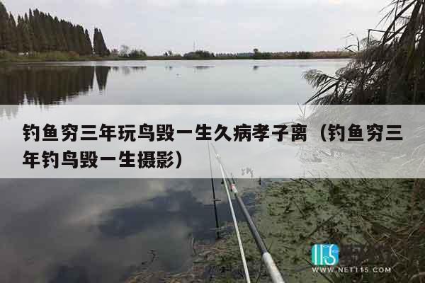 钓鱼穷三年玩鸟毁一生久病孝子离（钓鱼穷三年钓鸟毁一生摄影）