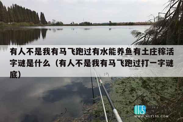 有人不是我有马飞跑过有水能养鱼有土庄稼活字谜是什么（有人不是我有马飞跑过打一字谜底）