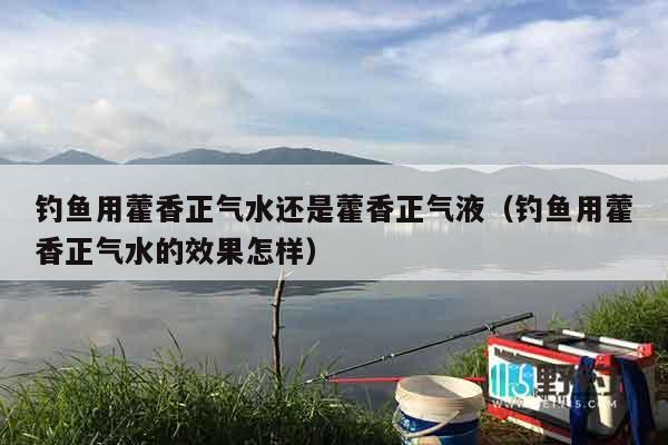 钓鱼用藿香正气水还是藿香正气液（钓鱼用藿香正气水的效果怎样）