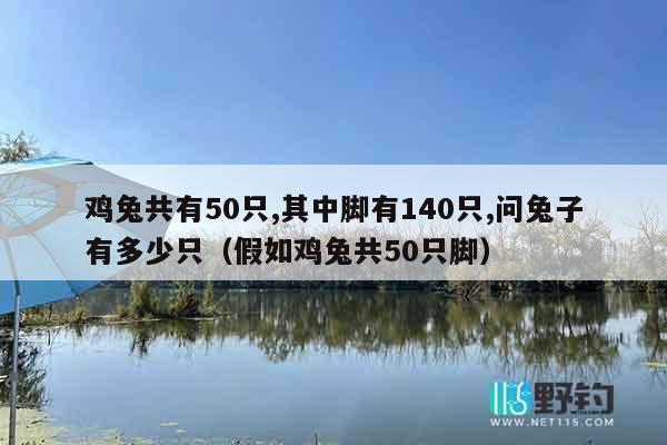 鸡兔共有50只,其中脚有140只,问兔子有多少只（假如鸡兔共50只脚）