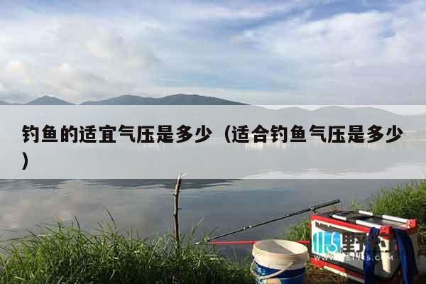 钓鱼的适宜气压是多少（适合钓鱼气压是多少）