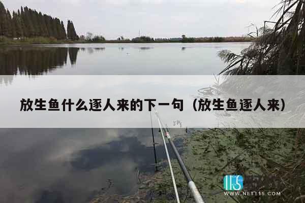 放生鱼什么逐人来的下一句（放生鱼逐人来）