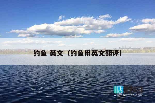 钓鱼 英文（钓鱼用英文翻译）
