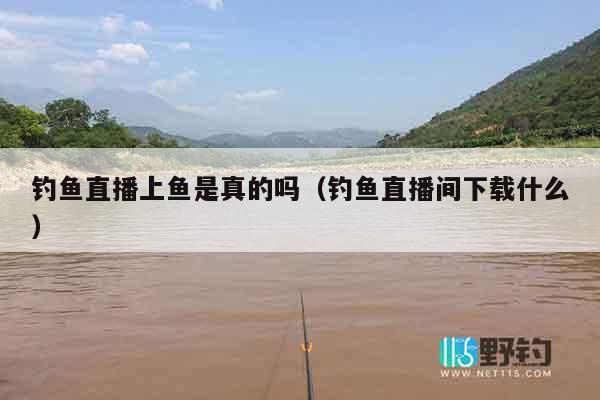 钓鱼直播上鱼是真的吗（钓鱼直播间下载什么）
