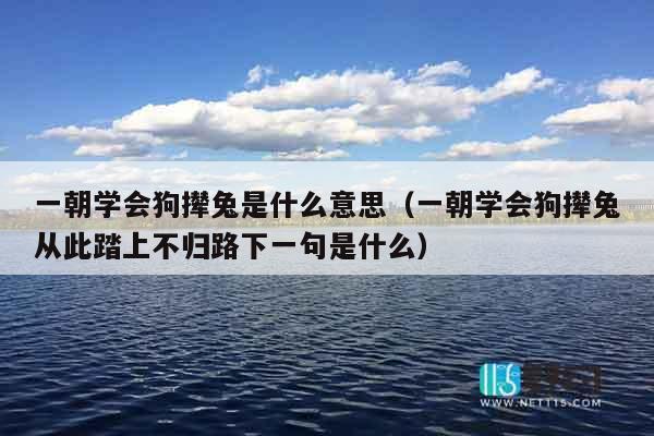 一朝学会狗撵兔是什么意思（一朝学会狗撵兔从此踏上不归路下一句是什么）