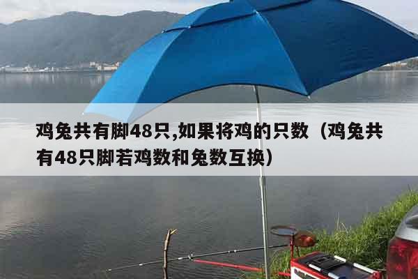 鸡兔共有脚48只,如果将鸡的只数（鸡兔共有48只脚若鸡数和兔数互换）