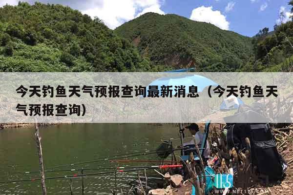 今天钓鱼天气预报查询最新消息（今天钓鱼天气预报查询）