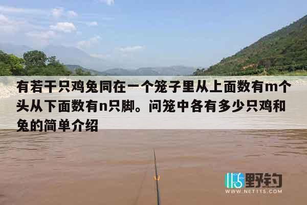 有若干只鸡兔同在一个笼子里从上面数有m个头从下面数有n只脚。问笼中各有多少只鸡和兔的简单介绍