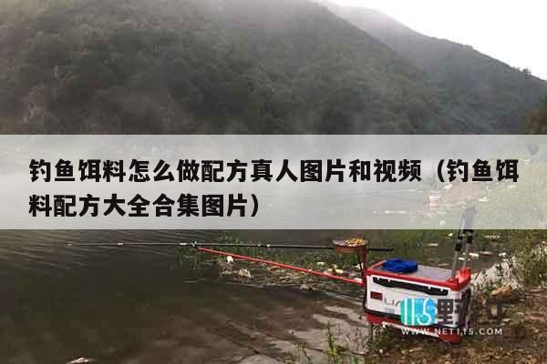 钓鱼饵料怎么做配方真人图片和视频（钓鱼饵料配方大全合集图片）
