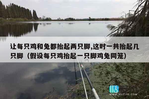 让每只鸡和兔都抬起两只脚,这时一共抬起几只脚（假设每只鸡抬起一只脚鸡兔同笼）
