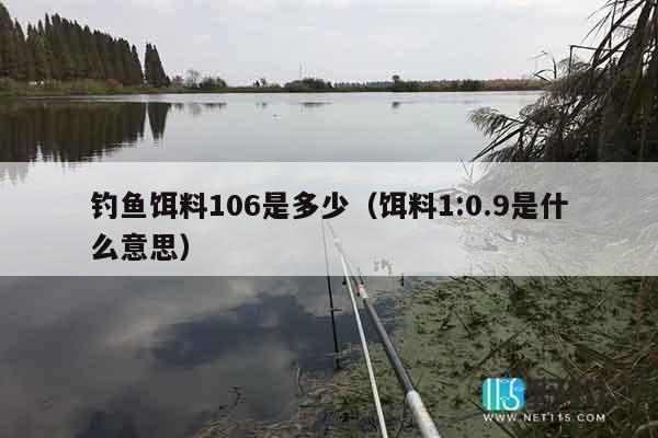 钓鱼饵料106是多少（饵料1:0.9是什么意思）