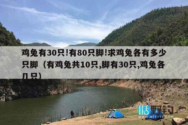 鸡兔有30只!有80只脚!求鸡兔各有多少只脚（有鸡兔共10只,脚有30只,鸡兔各几只）