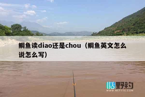 鲷鱼读diao还是chou（鲷鱼英文怎么说怎么写）