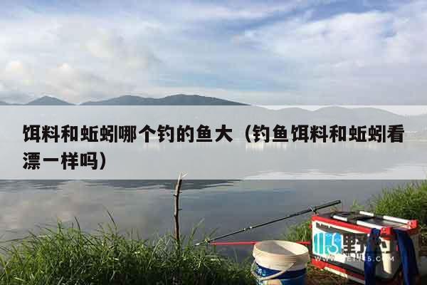 饵料和蚯蚓哪个钓的鱼大（钓鱼饵料和蚯蚓看漂一样吗）